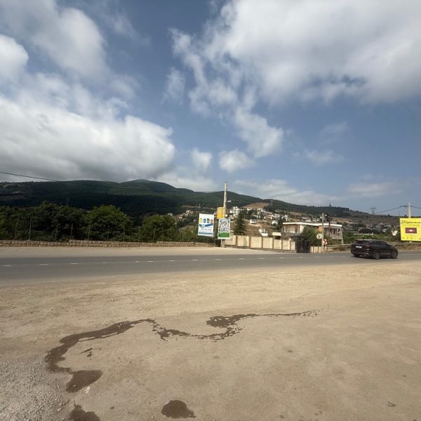 IMG 0848 600x600