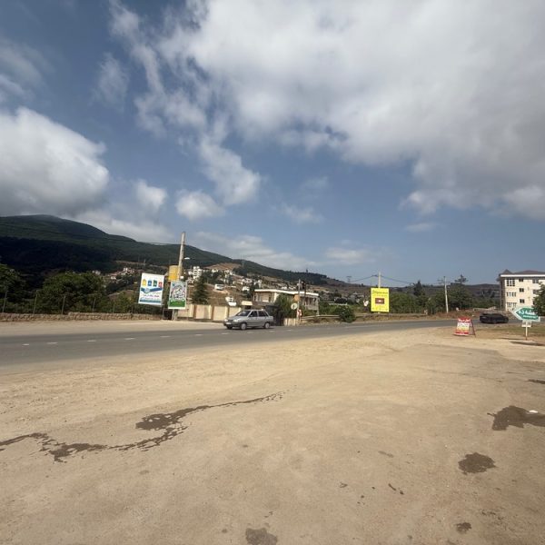 IMG 0849 600x600