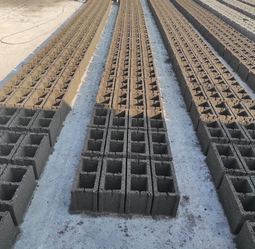 WhatsApp Image 2025-06-09 at 10.08.04 AM