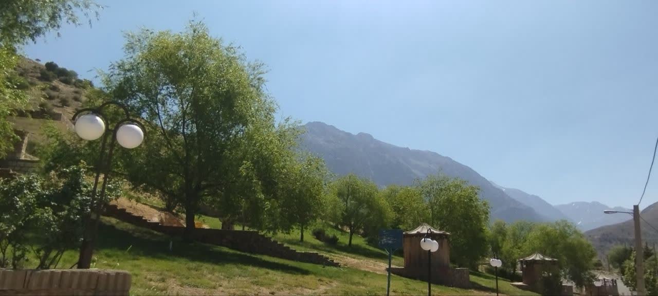 photo19184262638