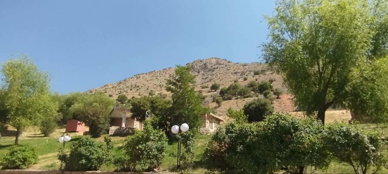 photo19184263405
