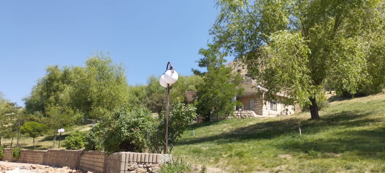 photo19184263859