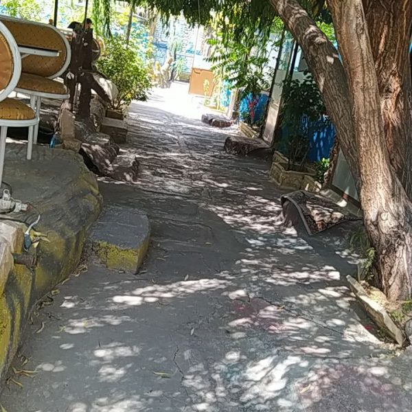 IMG 20250709 105028 550 600x600