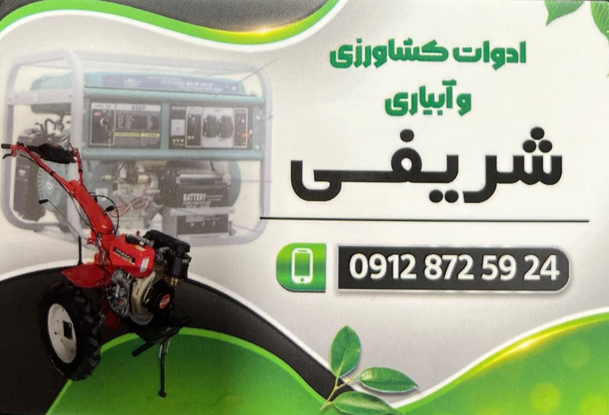 شریفی