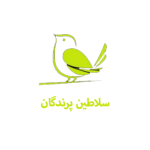  پرندگان 150x150