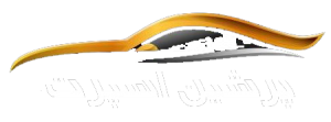 Nody انواع ماشین های چینی با قیمت 1628407850 300x111